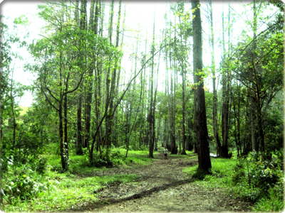 Casa Del Arroyo La Esperanza, Honduras